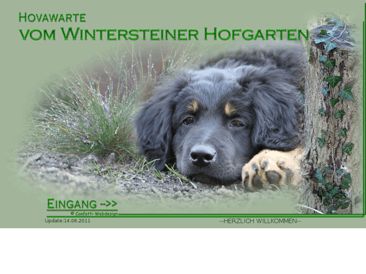 www.unsere-hovawarte.info