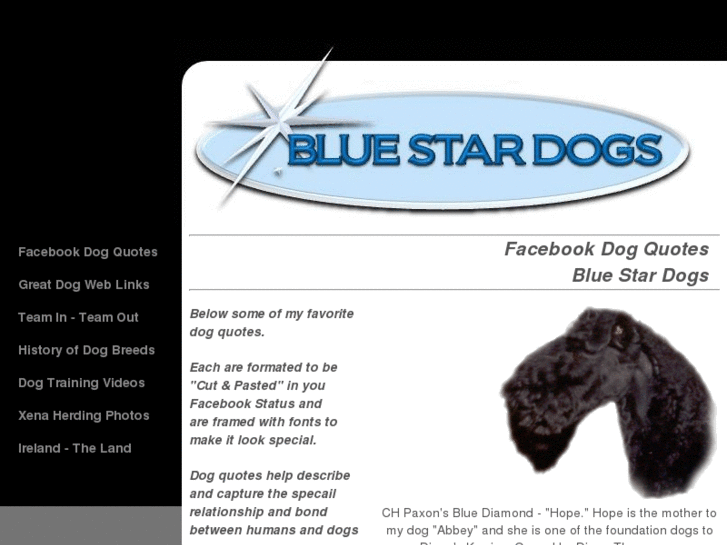 www.bluestardogs.com