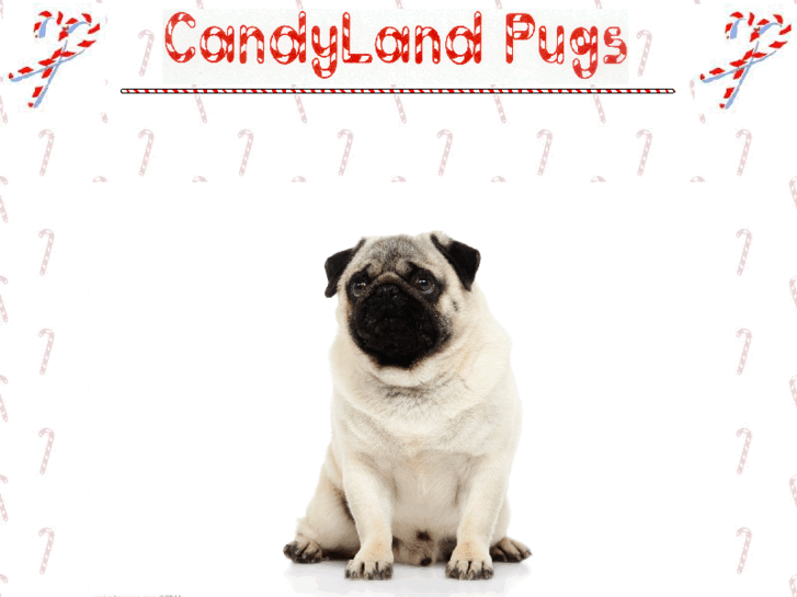 www.candylandpugs.com