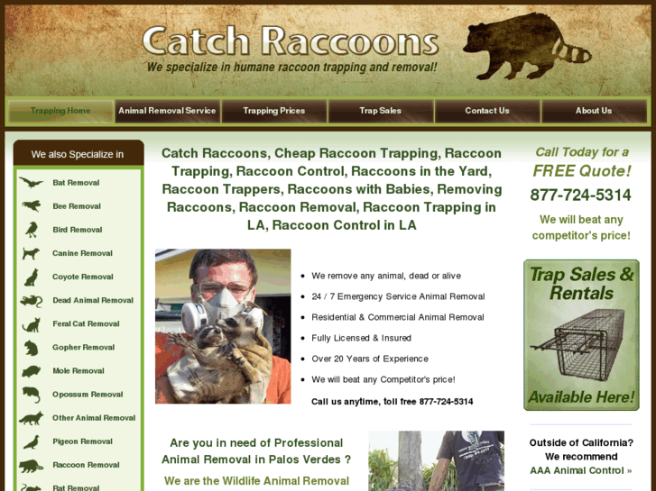 www.catchraccoons.com