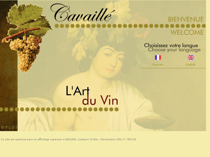 www.cavaille.com