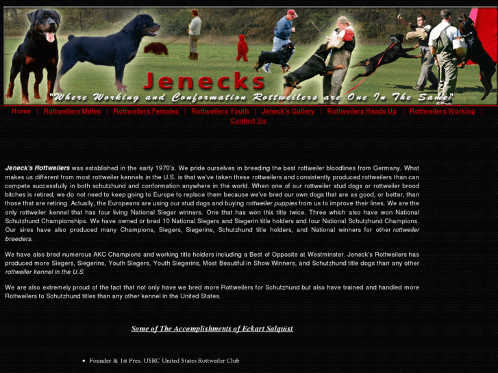 www.jenecks.com