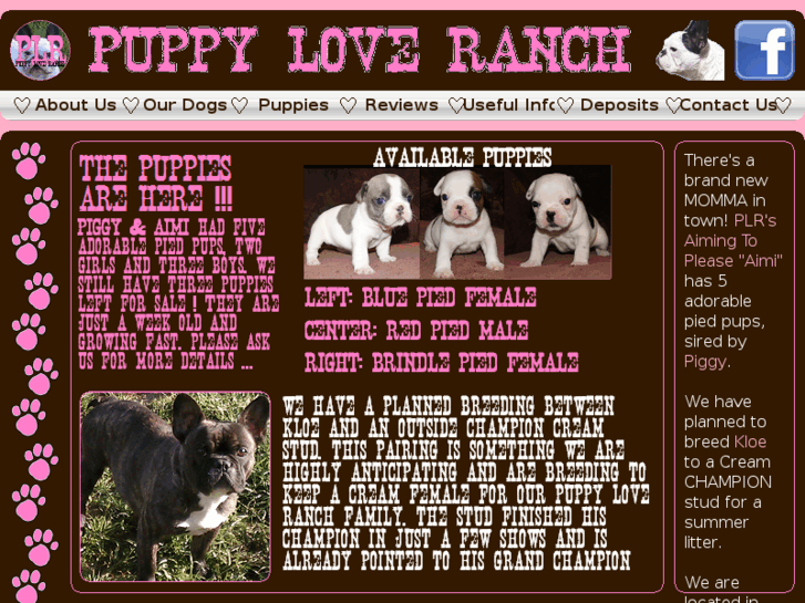 www.puppyloveneverfails.com