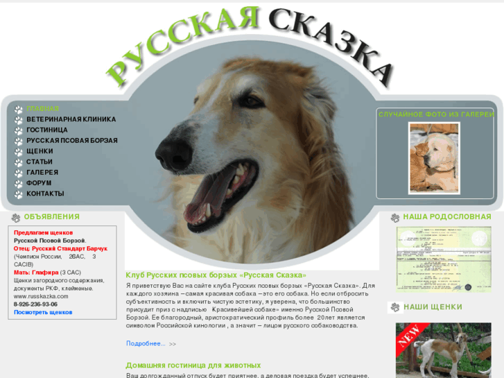 www.russkazka.com