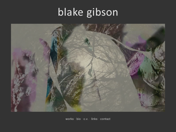 www.blakegibson.com