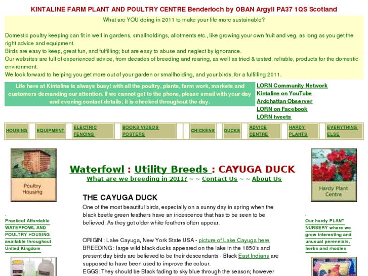 www.cayuga.co.uk