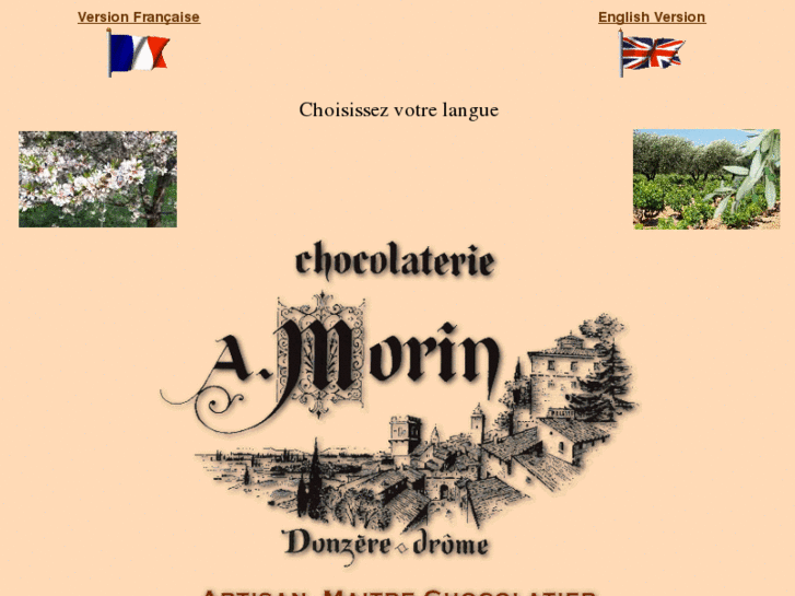 www.chocolaterie-morin.com