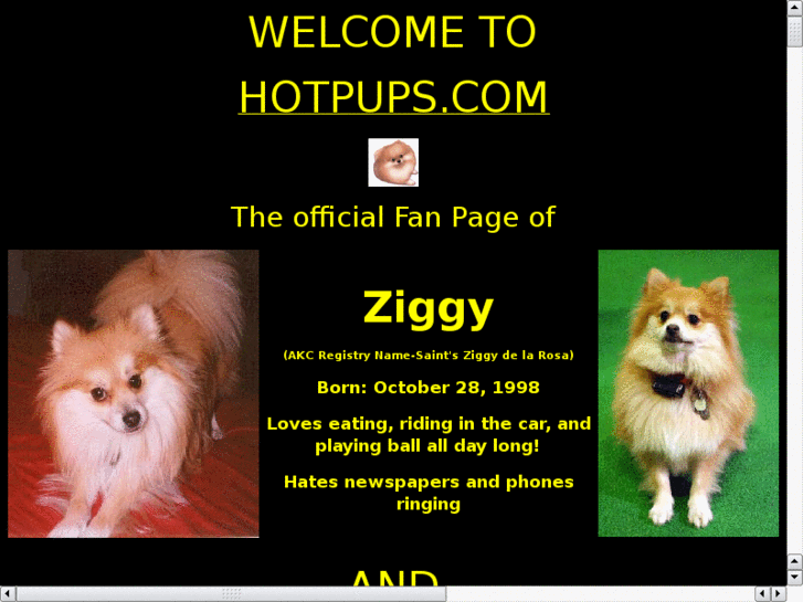 www.hotpuppies.com