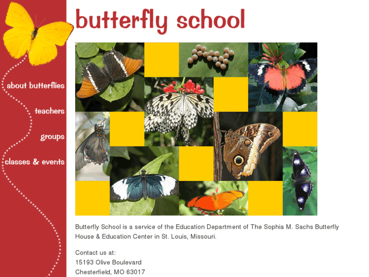 www.butterflyschool.org