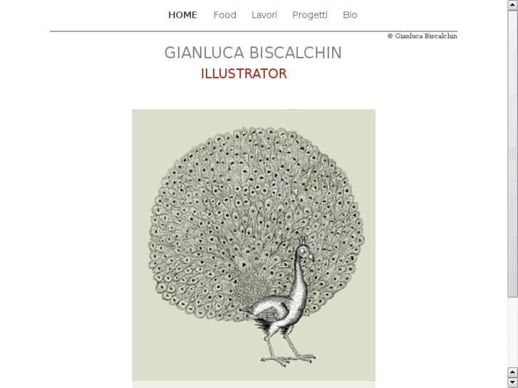 www.gianlucabiscalchin.it