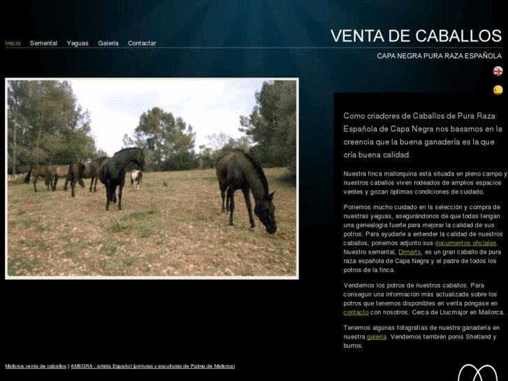 www.ventacaballosmallorca.com