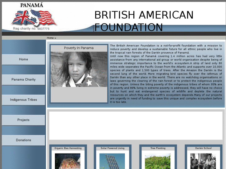 www.britishamericanfoundation.org