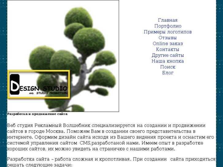 www.promowizard.ru