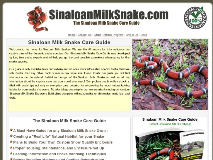 www.sinaloanmilksnake.com