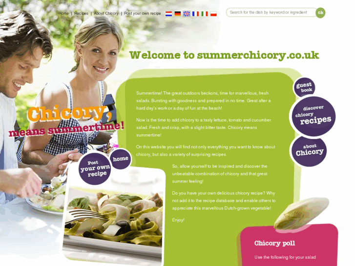 www.summerchicory.com