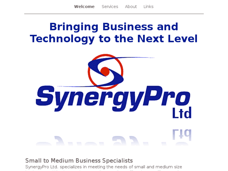 www.synergypro.net