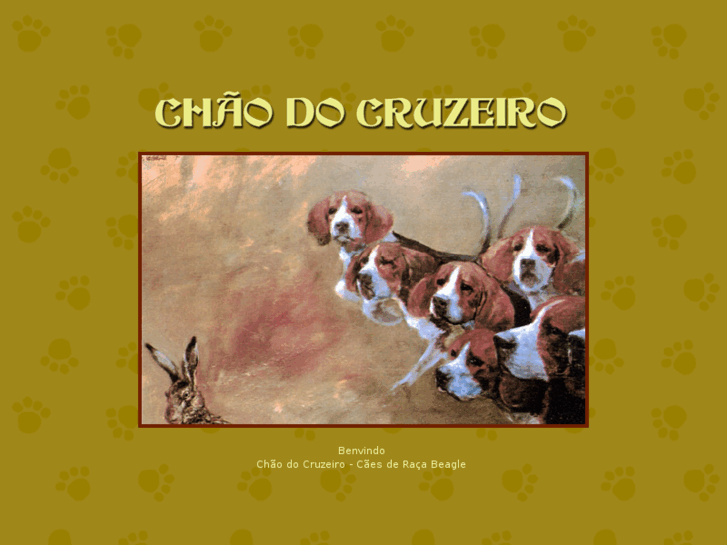 www.chaodocruzeiro.com