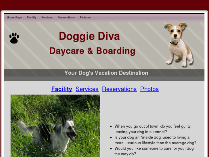 www.doggie-diva.net