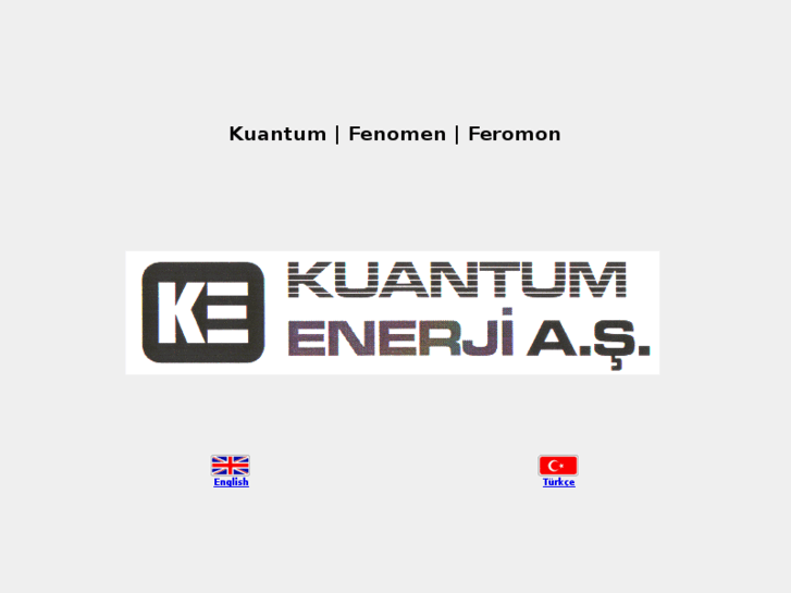 www.kuantumenerji.com