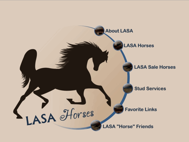 www.lasahorses.com