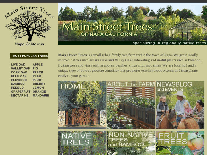 www.mainstreettrees.com