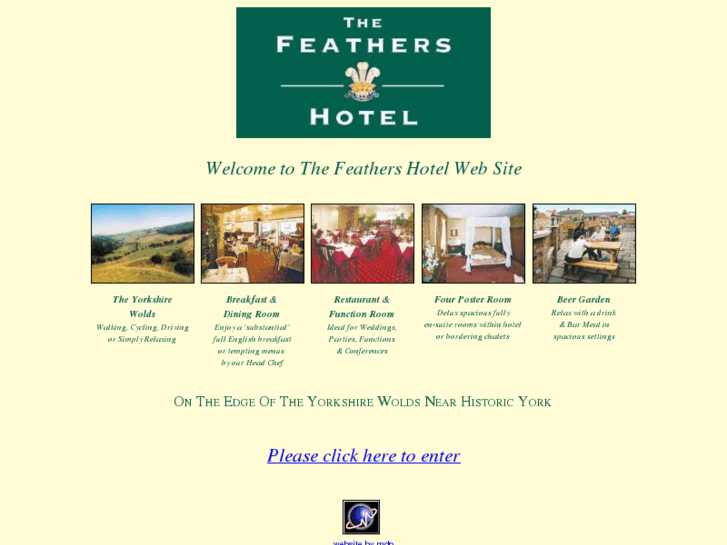 www.thefeathers-hotel.co.uk