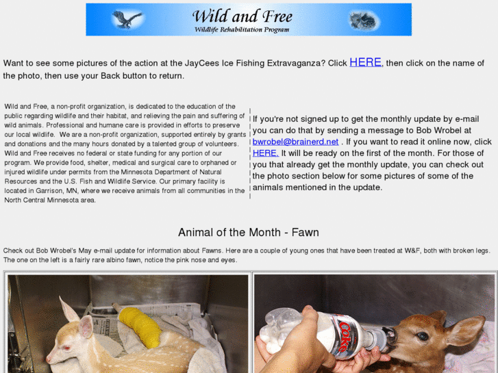 www.wildandfree.org