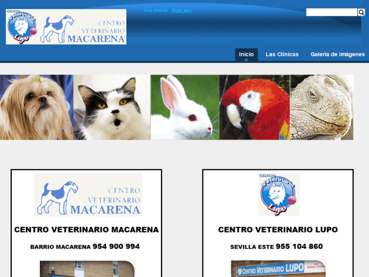 www.centroveterinariolupo-macarena.com