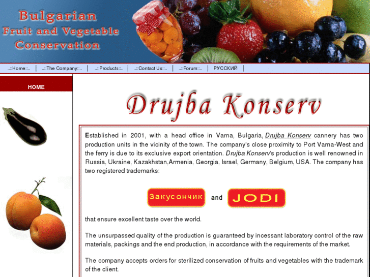 www.drujba-konserv.com