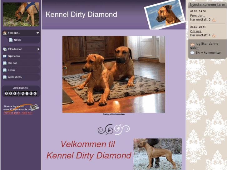 www.kenneldirtydiamond.com