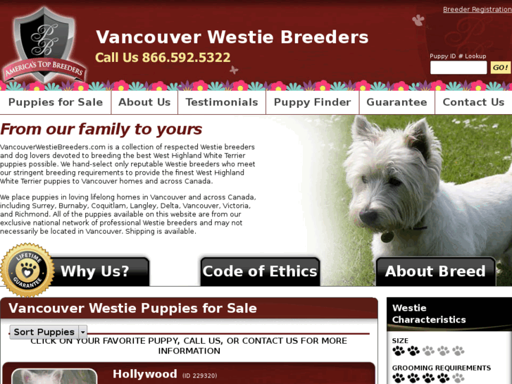 www.vancouverwestiebreeders.com