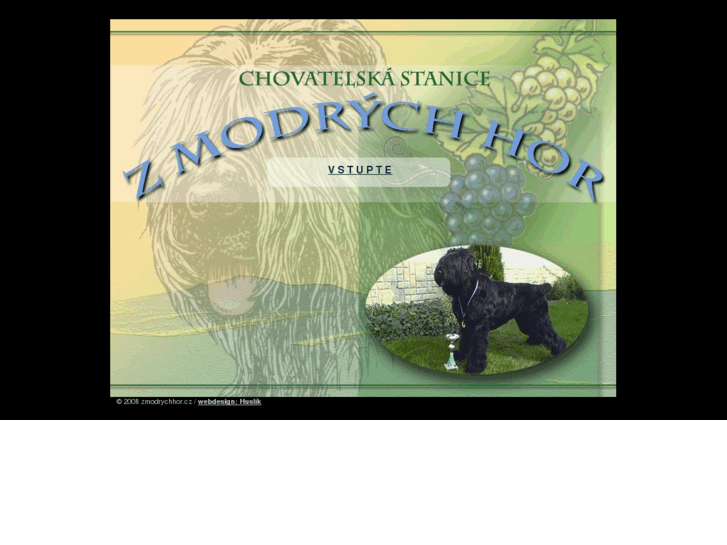 www.zmodrychhor.cz