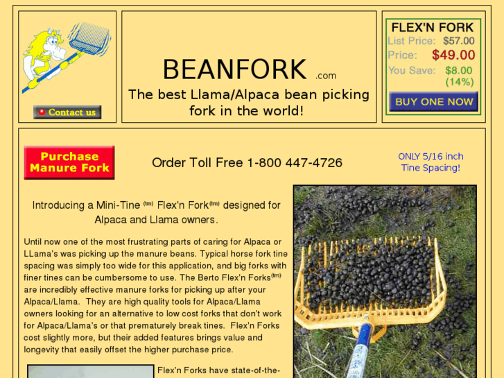 www.beanfork.com