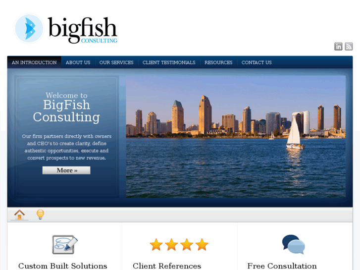 www.bigfishconsult.com