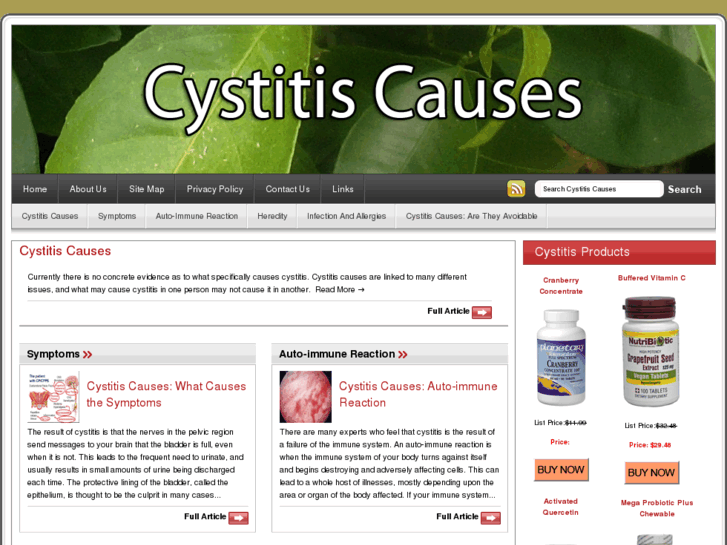 www.cystitiscauses.com