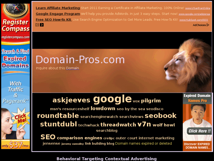 www.domain-pros.com