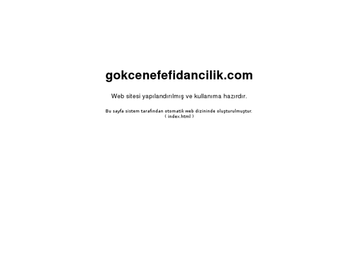 www.gokcenefefidancilik.com