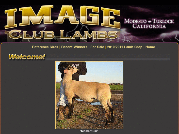 www.imageclublambs.com