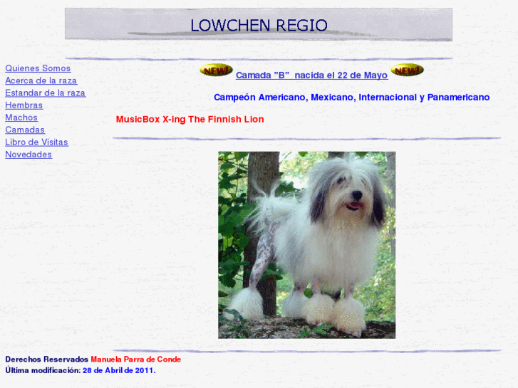 www.lowchen-regio.com