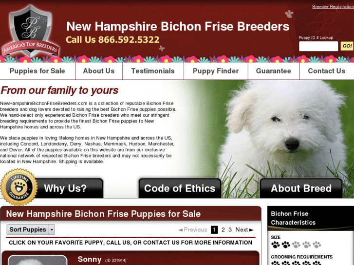 www.newhampshirebichonfrisebreeders.com