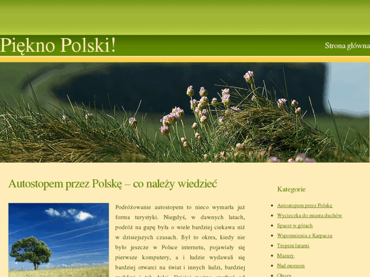 www.xn--piknopolski-srb.pl