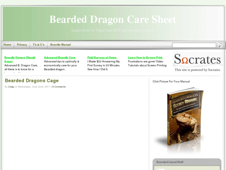 www.beardeddragoncaresheet.net