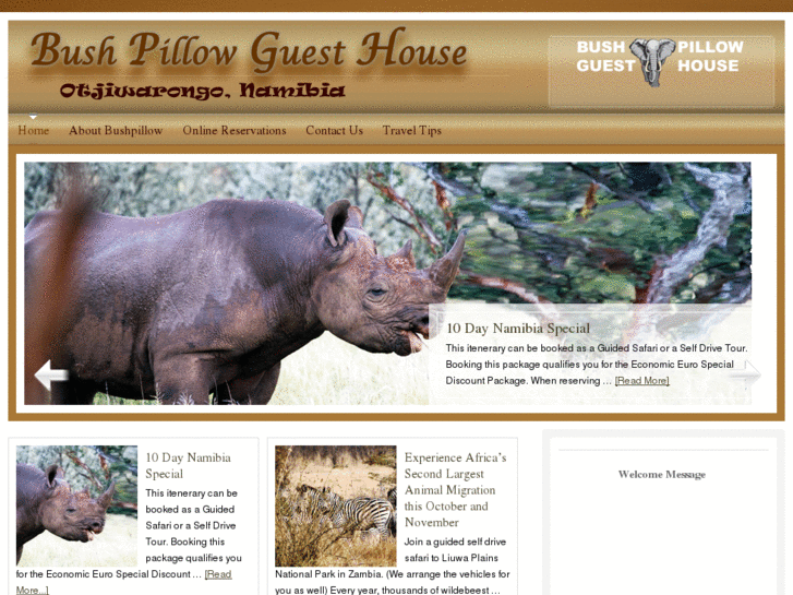 www.bushpillow.com