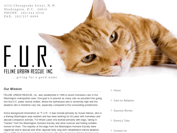 www.felineurbanrescue.org