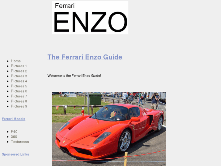 www.ferrarienzo.org