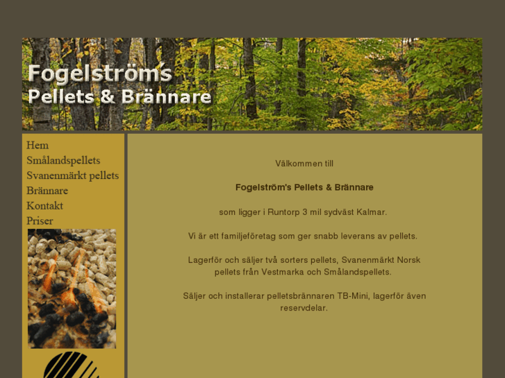 www.fogelstroms.com