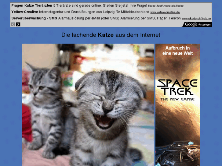 www.katzenlache.de