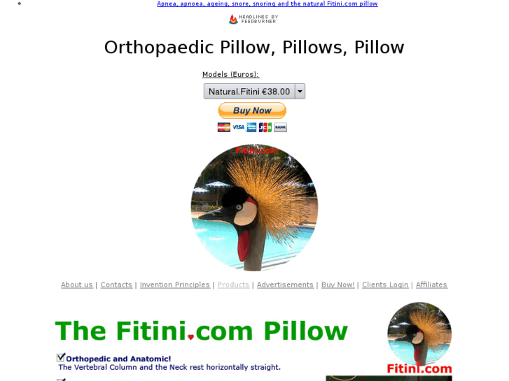 www.orthopaedic-pillow.com