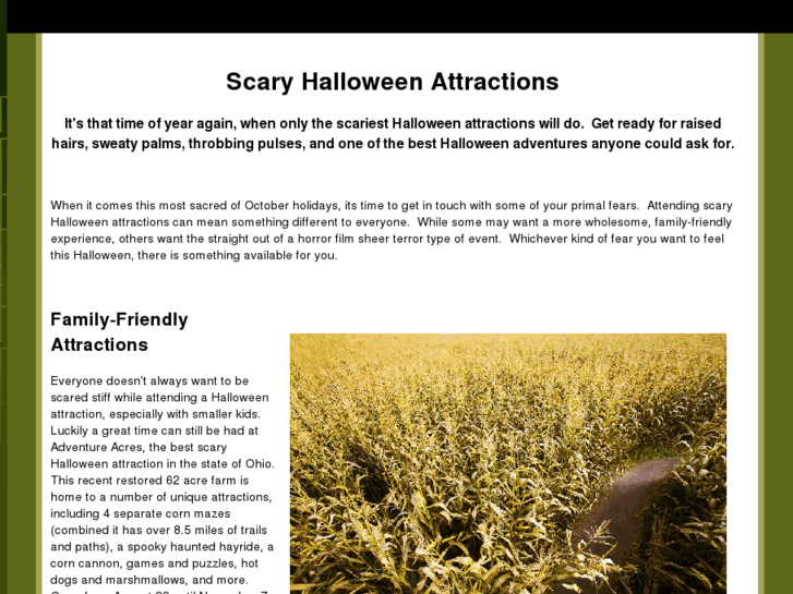 www.scaryhalloweenattractions.com