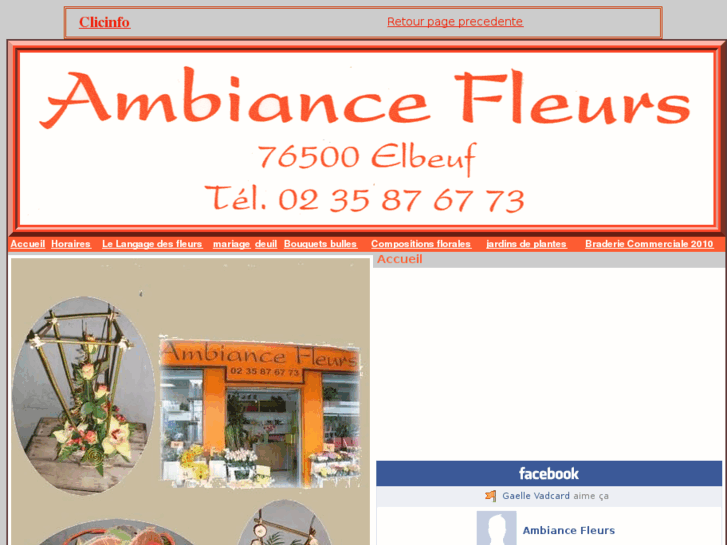 www.ambiancefleurs.com